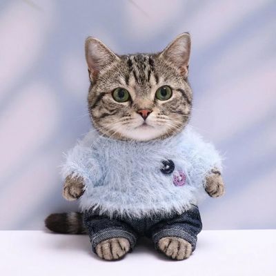 10 cm, 17 cm, 38 cm, Trendy Dolls Change Clothes, Casual and Cute Suits (Blue Fur top + Jeans)
