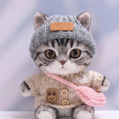 10 cm, 17 cm, 38 cm, Trendy Dolls Change Clothes, Casual and Cute Suits (Brown Rabbit Button Sweater Set)