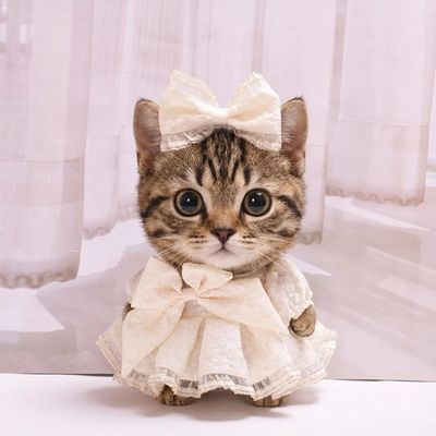 10 cm, 17 cm, 38 cm, Trendy Dolls Change Clothes, Casual and Cute Suits (Beige Evening Dress Three-Piece Set (38cm))