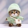 10 cm, 17 cm, 38 cm, Trendy Dolls Change Clothes, Casual and Cute Suits (Green Button Sweater B Set) view 1