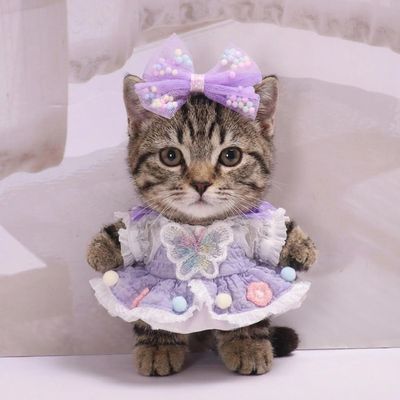10 cm, 17 cm, 38 cm, Trendy Dolls Change Clothes, Casual and Cute Suits (Purple Bow Princess Dress Set)