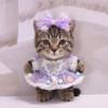 10 cm, 17 cm, 38 cm, Trendy Dolls Change Clothes, Casual and Cute Suits (Purple Bow Princess Dress Set) view 1