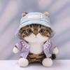 10 cm, 17 cm, 38 cm, Trendy Dolls Change Clothes, Casual and Cute Suits (Purple Four-Petal Flower Knitted Set) view 1
