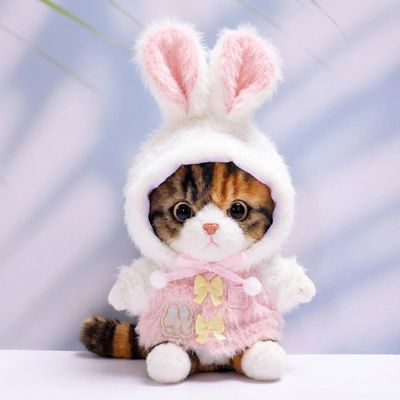 10 cm, 17 cm, 38 cm, Trendy Dolls Change Clothes, Casual and Cute Suits (Pink Rabbit Ear top Set)