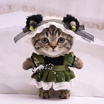 10 cm, 17 cm, 38 cm, Trendy Dolls Change Clothes, Casual and Cute Suits (Panda Skirt Three-Piece Set)