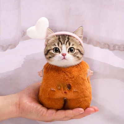 10 cm, 17 cm, 38 cm, Trendy Dolls Change Clothes, Casual and Cute Suits (Chicken Thigh Suit)