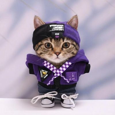 10 cm, 17 cm, 38 cm, Trendy Dolls Change Clothes, Casual and Cute Suits (Purple Zipper Trendy Sweater Four-Piece Set)