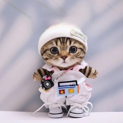 10 cm, 17 cm, 38 cm, Trendy Dolls Change Clothes, Casual and Cute Suits (Radio Overalls Set)