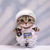 10 cm, 17 cm, 38 cm, Trendy Dolls Change Clothes, Casual and Cute Suits (Radio Overalls Set) view 1