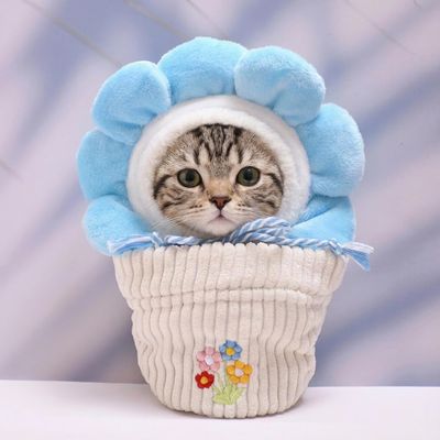 10 cm, 17 cm, 38 cm, Trendy Dolls Change Clothes, Casual and Cute Suits (Blue Sun Flower White Pot Set)