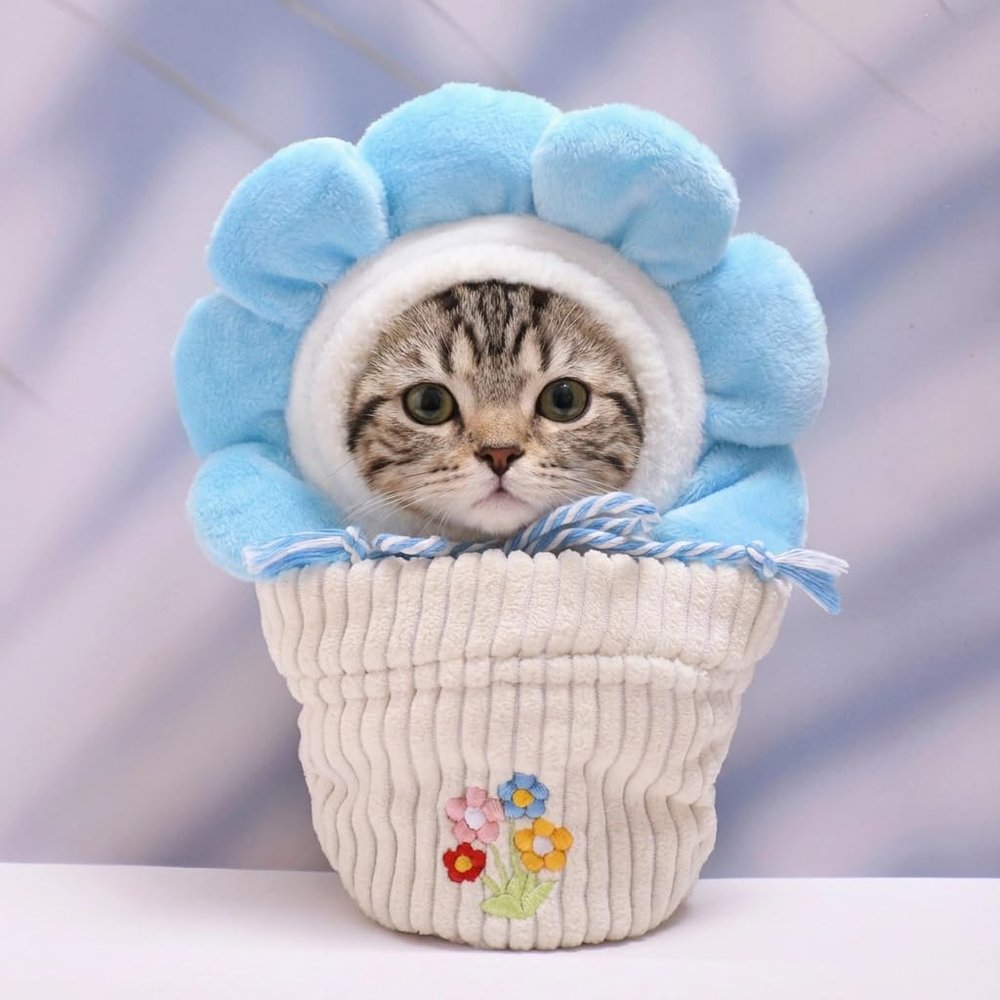 10 cm, 17 cm, 38 cm, Trendy Dolls Change Clothes, Casual and Cute Suits (Blue Sun Flower White Pot Set)