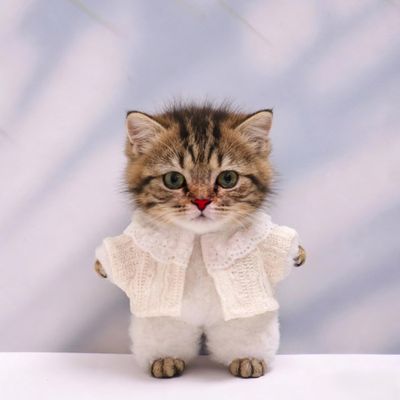 10 cm, 17 cm, 38 cm, Trendy Dolls Change Clothes, Casual and Cute Suits (Beige Wool Cardigan)