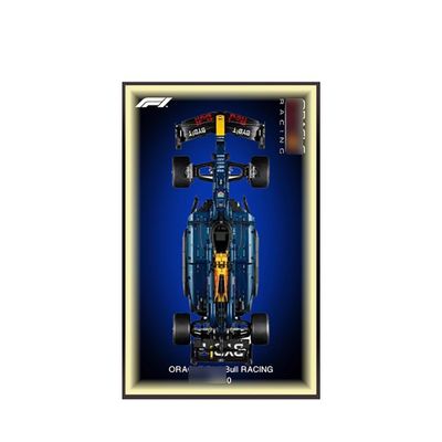 DSJBGSS Wall Mount Display Wallboard 42207 Racing Car 42206 - Wall Photo Frame, Mount for Building Set(42206+USB Light)