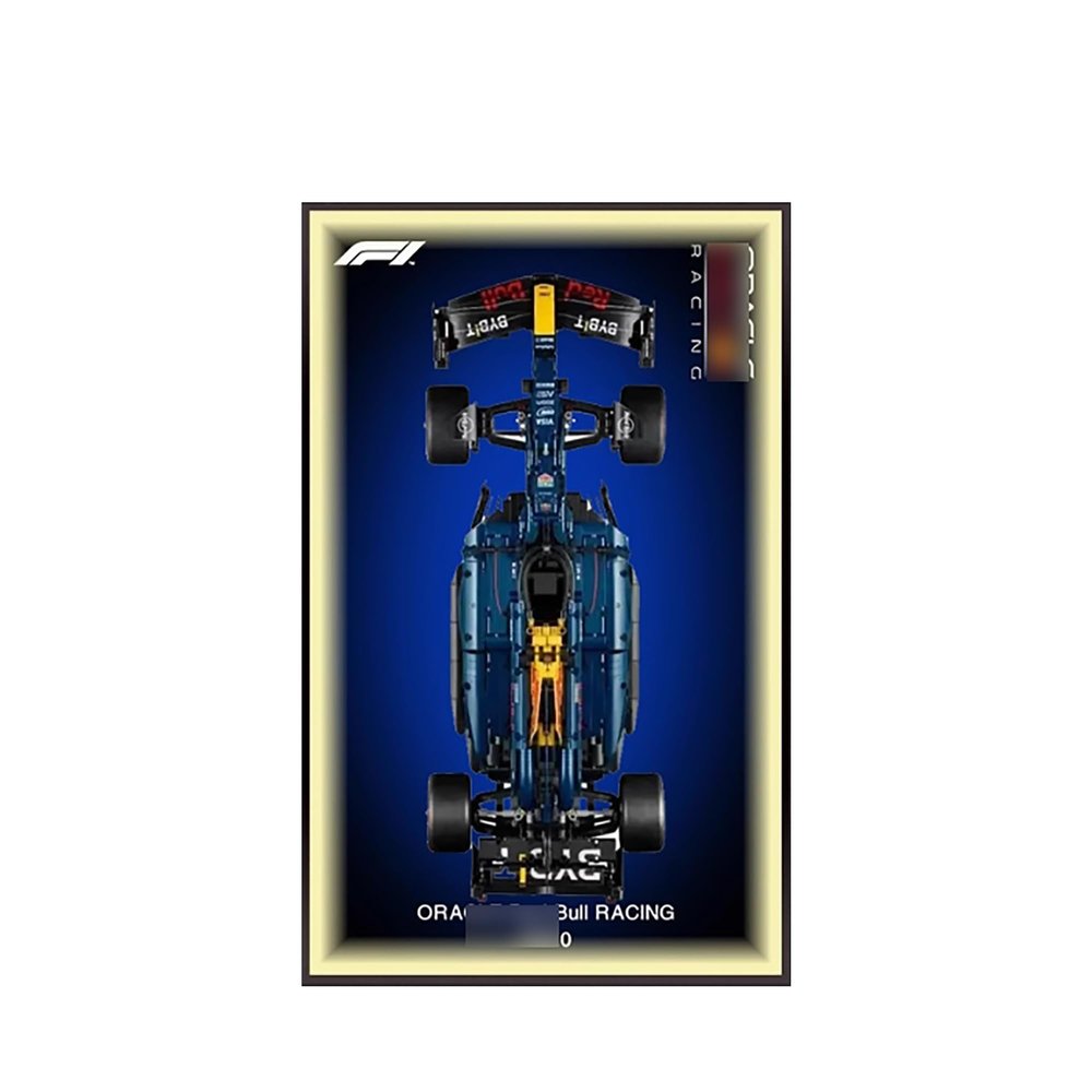 DSJBGSS Wall Mount Display Wallboard 42207 Racing Car 42206 - Wall Photo Frame, Mount for Building Set(42206+USB Light)