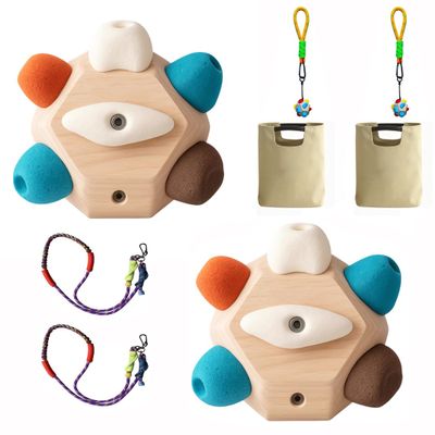Handcrafted Boulder Block Build Strength and Precision 3D Climbing Ball for Training Simulated Rock Wall Holds Portable Gear Gifts Rocks Climbers Block Anywhere(Size:2 PCS,Color:Lasso + climbing ball