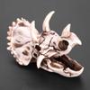 OEBUAFI Dinosaur Triceratops Skull Model, EcoFriendly Craft, High Simulation Display for Home Office, Perfect for Dinosaur Enthusiasts view 3