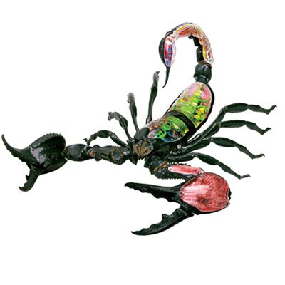 4D Scorpion Anatomy Model, Insects Organ Anatomy Model, Animal Teaching Model with Removable 29 Parts, Three Dimensional Puzzle Parent-Child Toy, for Science Study