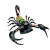 4D Scorpion Anatomy Model, Insects Organ Anatomy Model, Animal Teaching Model with Removable 29 Parts, Three Dimensional Puzzle Parent-Child Toy, for Science Study view 2