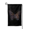 Mystery Butterfly view 1