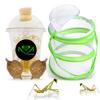 USMANTIS Praying Mantis Egg CasesT Sinensis (Two Egg Case) Comes with Habitat Cup & Mesh Habitat Cage for Indoor & Outdoor Hatching & STEM Projects, Live Mantis Eggs Ootheca Producing 50200 Nymphs view 1