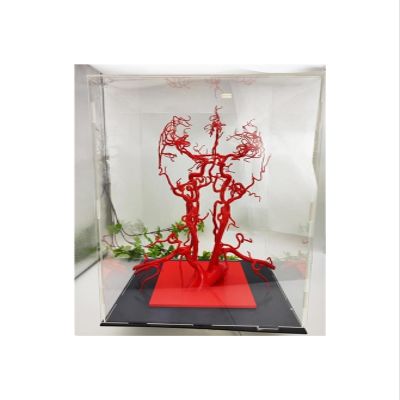 3D Head and Neck Blood Vessel Mdel, High Precision Whole Cerebral Vascular Model, 30CM Head and Neck Artery Model, Intracranial Vascular Structure Display Tool, for Biology Study Teaching