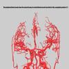 3D Head and Neck Blood Vessel Mdel, High Precision Whole Cerebral Vascular Model, 30CM Head and Neck Artery Model, Intracranial Vascular Structure Display Tool, for Biology Study Teaching view 2