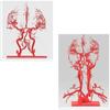 3D Head and Neck Blood Vessel Mdel, High Precision Whole Cerebral Vascular Model, 30CM Head and Neck Artery Model, Intracranial Vascular Structure Display Tool, for Biology Study Teaching view 3