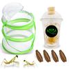 USMANTIS Carolina Praying Mantis Habitat Kit with (Four Egg Cases) - Use Indoor & Outdoor Hatching This Praying Egg Cases & Comes with Mantis Hatching Bag, Each Egg Case Produces 50 to 200 Nymphs view 1