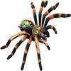 4D Spider Anatomy Models,Simulation Puzzle Assembly Toy, Removable 33 Parts Organs and Body Parts Model for Study Teaching Animal Anatomical Model. view 1