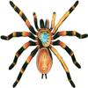 4D Spider Anatomy Models,Simulation Puzzle Assembly Toy, Removable 33 Parts Organs and Body Parts Model for Study Teaching Animal Anatomical Model. view 2