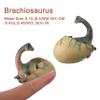 AENIMELY Realistic Dinosaur Egg Toy - Solid Dinosaur Figure Model, Educational for Kids, Cake Topper, Party Decoration & STEM Project (Brachiosaurus) view 3