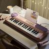 Children's Piano Keys, Multi-Setting Play, 42.5x15x9cm, Kids Piano Instrument, Portable Music Keyboard, Fun and Entertaining, for Boys, Girls, Family, School, Holiday, Home view 2