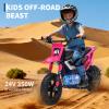 24V Electric Dirt Bike for Kids, 350w Electric Motorcycle for Kids - Up to 13.67Mile/h Long-Range, Ride on Motorcycle with Rear Wheel Suspension, 12 Miles Range, Twist Grip Throttle, Rubber Tire view 4