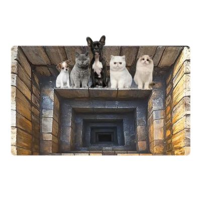 3D Hole Rug Pet Toy, Front Door Mat Indoor Outdoor Entrance, 3D Optical Illusion All-Weather Ground Crack Doormat (A1, 80x120 cm)