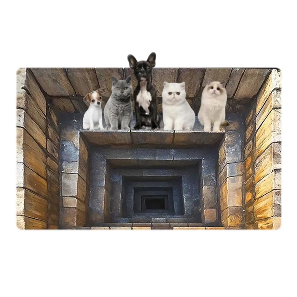 3D Hole Rug Pet Toy, Front Door Mat Indoor Outdoor Entrance, 3D Optical Illusion All-Weather Ground Crack Doormat (A1, 80x120 cm)