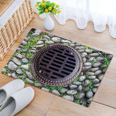 3D Hole Rug Pet Toy, Front Door Mat Indoor Outdoor Entrance, 3D Optical Illusion All-Weather Ground Crack Doormat (D1, 80x120 cm)