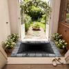 3D Hole Rug Pet Toy, Front Door Mat Indoor Outdoor Entrance, 3D Optical Illusion All-Weather Ground Crack Doormat (E1, 40x60 cm) view 3
