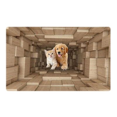 3D Hole Rug Pet Toy, Front Door Mat Indoor Outdoor Entrance, 3D Optical Illusion All-Weather Ground Crack Doormat (B1, 80x120 cm)