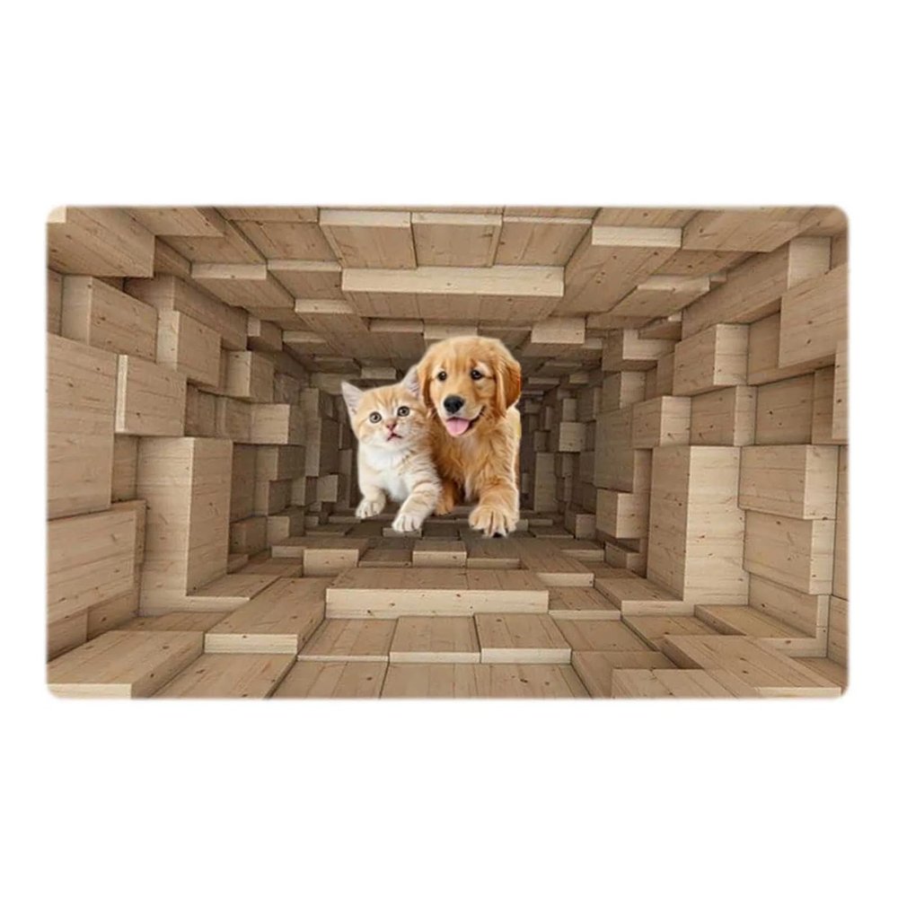 3D Hole Rug Pet Toy, Front Door Mat Indoor Outdoor Entrance, 3D Optical Illusion All-Weather Ground Crack Doormat (B1, 80x120 cm)