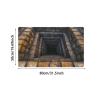 3D Hole Rug Pet Toy, Front Door Mat Indoor Outdoor Entrance, 3D Optical Illusion All-Weather Ground Crack Doormat (G1, 50x80 cm) view 2