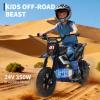 24V Electric Dirt Bike for Kids, 350w Electric Motorcycle for Kids - Up to 13.67Mile/h Long-Range, Ride on Motorcycle with Rear Wheel Suspension, 12 Miles Range, Twist Grip Throttle, Rubber Tire, view 4