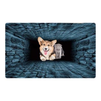 3D Hole Rug Pet Toy, Front Door Mat Indoor Outdoor Entrance, 3D Optical Illusion All-Weather Ground Crack Doormat (C1, 80x120 cm)