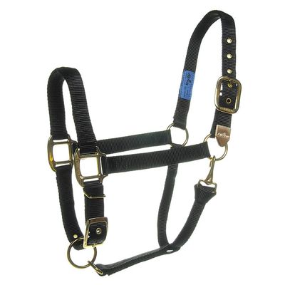 Fabtron Maroon 1" Large Deluxe Horse