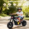 24V 350w Kids Electric Dirt Bike, 13.67 MPH Ride-on Motorcycle with Rear Suspension, Twist Grip Throttle & Leather Seat, 12 Mile Range for Off-Road Adventure view 2