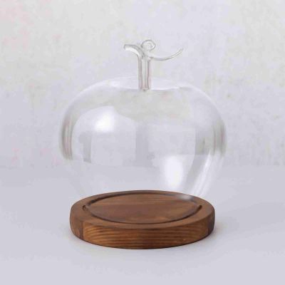 2026 New Glass Apples Case Decorative LED-Style Display Cloche for Romantic Home Dcor, Valentines Day Table Accents, Cozy Collectible Showcases and Aesthetic Room Styling (Burnt)