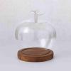 2026 New Glass Apples Case Decorative LED-Style Display Cloche for Romantic Home Dcor, Valentines Day Table Accents, Cozy Collectible Showcases and Aesthetic Room Styling (Burnt) view 1