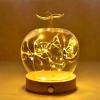 2026 New Glass Apples Case Decorative LED-Style Display Cloche for Romantic Home Dcor, Valentines Day Table Accents, Cozy Collectible Showcases and Aesthetic Room Styling (Natural Light) view 1