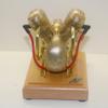 Steam Engine Model Kit That Works, 3.2cc Mini Horizontal V-Twin 4-Stroke Gasoline Engine, Golden Motorcycle Engine with Metal Chain Drive for Physics Science Experiment Demonstration view 2