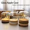 2026 New Glass Apples Case Decorative LED-Style Display Cloche for Romantic Home Dcor, Valentines Day Table Accents, Cozy Collectible Showcases and Aesthetic Room Styling (Natural) view 2
