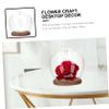 2026 New Glass Apples Case Decorative LED-Style Display Cloche for Romantic Home Dcor, Valentines Day Table Accents, Cozy Collectible Showcases and Aesthetic Room Styling (Natural) view 4